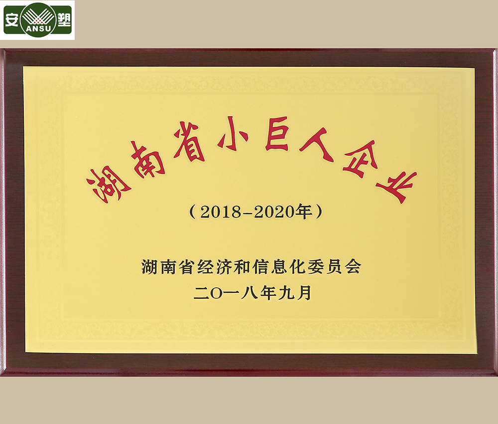 榮譽(yù)資質(zhì) 小巨人